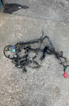 HONDA S2000 ENGINE ECU LOOM 1999-2005 ELECTRIC THROTTLE